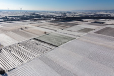 Vue aérienne de Vue aérienne d'hiver dans la neige à le quartier Mühlhofen in Billigheim-Ingenheim dans le département Rhénanie-Palatinat, Allemagne