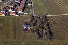 Vue aérienne de Viticulture Bioland sous toit d'herbe à le quartier Wollmesheim in Landau in der Pfalz dans le département Rhénanie-Palatinat, Allemagne