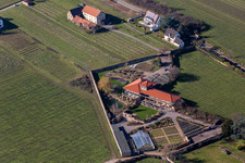 Vue aérienne de Klosterstr. à Edenkoben dans le département Rhénanie-Palatinat, Allemagne