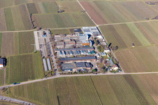 Vue aérienne de Centre de services ruraux Espace à le quartier Mußbach in Neustadt an der Weinstraße dans le département Rhénanie-Palatinat, Allemagne