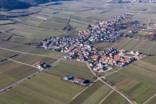 Photographie aérienne de Vignobles à le quartier Forst in Forst an der Weinstraße dans le département Rhénanie-Palatinat, Allemagne