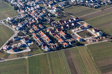 Vue aérienne de Sentier du Riesling, sentier du Traminer, sentier du Silvaner à le quartier Forst in Forst an der Weinstraße dans le département Rhénanie-Palatinat, Allemagne