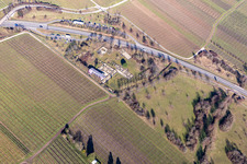 Vue aérienne de Quartier Wachenheim in Wachenheim an der Weinstraße dans le département Rhénanie-Palatinat, Allemagne