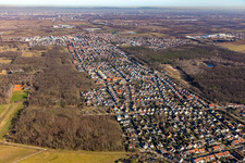 Vue aérienne de Zone urbaine avec périphérie et centre-ville à Maxdorf à Birkenheide dans le département Rhénanie-Palatinat, Allemagne