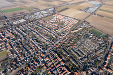 Vue aérienne de Rue Oggersheimer à le quartier Ruchheim in Ludwigshafen am Rhein dans le département Rhénanie-Palatinat, Allemagne