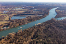 Vue aérienne de Forêt inondable du lac Rohrhofer à le quartier Rheinau in Mannheim dans le département Bade-Wurtemberg, Allemagne