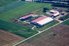 Photographie aérienne de Ferme d'œufs de ferme de poulets à Erlenbach bei Kandel dans le département Rhénanie-Palatinat, Allemagne