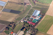 Vue aérienne de Ferme fruitière Zirker à le quartier Herxheim in Herxheim bei Landau dans le département Rhénanie-Palatinat, Allemagne