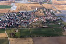 Vue aérienne de Quartier Niederlustadt in Lustadt dans le département Rhénanie-Palatinat, Allemagne