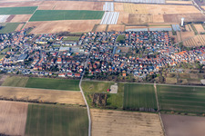 Photographie aérienne de Quartier Niederlustadt in Lustadt dans le département Rhénanie-Palatinat, Allemagne