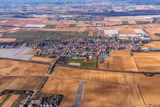 Vue oblique de (Palatinat) à Weingarten dans le département Rhénanie-Palatinat, Allemagne