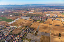Weingarten dans le département Rhénanie-Palatinat, Allemagne vue d'en haut