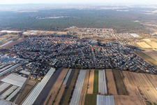 Vue aérienne de Vue des rues et des maisons des quartiers résidentiels à Dudenhofen dans le département Rhénanie-Palatinat, Allemagne