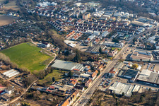 Vue aérienne de Terrain de sport au pâturage des vaches à Speyer dans le département Rhénanie-Palatinat, Allemagne