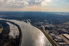 Vue aérienne de Rhin à Speyer à le quartier Ludwigshof in Speyer dans le département Rhénanie-Palatinat, Allemagne