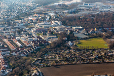 Vue aérienne de Jardins familiaux et terrain de sport au pâturage des vaches à Speyer dans le département Rhénanie-Palatinat, Allemagne