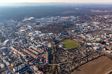 Vue aérienne de Jardins familiaux et terrain de sport au pâturage des vaches à le quartier Ludwigshof in Speyer dans le département Rhénanie-Palatinat, Allemagne