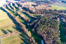 Vue aérienne de Golf Club Palatinat à le quartier Geinsheim in Neustadt an der Weinstraße dans le département Rhénanie-Palatinat, Allemagne