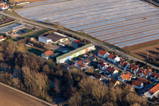 Weingarten dans le département Rhénanie-Palatinat, Allemagne vue du ciel