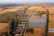 Vue aérienne de (Palatinat) à Weingarten dans le département Rhénanie-Palatinat, Allemagne