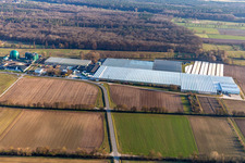 Vue aérienne de Rudolf Sinn Young Plants GmbH à le quartier Niederlustadt in Lustadt dans le département Rhénanie-Palatinat, Allemagne