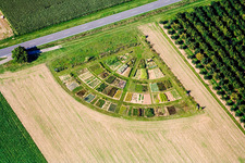 Vue aérienne de Parterres de légumes colorés en forme d'éventail dans les champs agricoles (Palatinat) à le quartier Niederhochstadt in Hochstadt dans le département Rhénanie-Palatinat, Allemagne