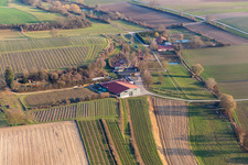Photographie aérienne de RANCH à le quartier Herxheim in Herxheim bei Landau dans le département Rhénanie-Palatinat, Allemagne