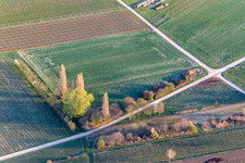 Vue aérienne de Début de la floraison printanière à Göcklingen dans le département Rhénanie-Palatinat, Allemagne