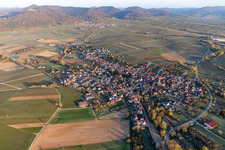 Vue aérienne de Les zones agricoles et les limites des champs au printemps entourent la zone de peuplement du village à Göcklingen dans le département Rhénanie-Palatinat, Allemagne