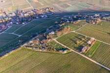 Vue oblique de Chapelle "Kleine Kalmit" dans la réserve naturelle de Kleine Kalmit le matin de Pâques avec fleurs printanières à le quartier Ilbesheim in Ilbesheim bei Landau in der Pfalz dans le département Rhénanie-Palatinat, Allemagne