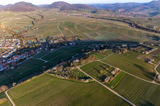 Chapelle "Kleine Kalmit" dans la réserve naturelle de Kleine Kalmit le matin de Pâques avec fleurs printanières à le quartier Ilbesheim in Ilbesheim bei Landau in der Pfalz dans le département Rhénanie-Palatinat, Allemagne d'en haut