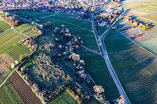 Vue aérienne de Réserve naturelle de Kleine Kalmit le matin de Pâques avec des fleurs printanières à le quartier Arzheim in Landau in der Pfalz dans le département Rhénanie-Palatinat, Allemagne