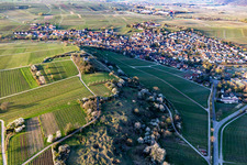 Vue aérienne de Chapelle "Kleine Kalmit" dans la réserve naturelle de Kleine Kalmit le matin de Pâques avec fleurs printanières à Ilbesheim bei Landau in der Pfalz dans le département Rhénanie-Palatinat, Allemagne