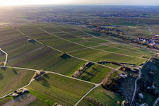 Photographie aérienne de Chapelle "Kleine Kalmit" dans la réserve naturelle de Kleine Kalmit le matin de Pâques avec fleurs printanières à Ilbesheim bei Landau in der Pfalz dans le département Rhénanie-Palatinat, Allemagne