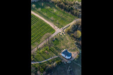 Vue oblique de Chapelle "Kleine Kalmit" dans la réserve naturelle de Kleine Kalmit le matin de Pâques avec fleurs printanières à Ilbesheim bei Landau in der Pfalz dans le département Rhénanie-Palatinat, Allemagne