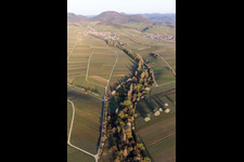 Vue aérienne de Paysage viticole des zones viticoles au printemps devant les Trifels à Ranschbach dans le département Rhénanie-Palatinat, Allemagne