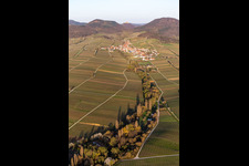 Vue aérienne de Vignobles au printemps devant les Trifels à Birkweiler à Ranschbach dans le département Rhénanie-Palatinat, Allemagne