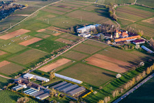 Vue aérienne de Complexe immobilier de l'Institut Julius Kühn Rebforschungsanstalt Geilweilerhof avec des amandiers en fleurs à Siebeldingen dans le département Rhénanie-Palatinat, Allemagne