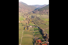 Vue aérienne de Modenbachtal à Burrweiler dans le département Rhénanie-Palatinat, Allemagne