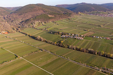 Vue aérienne de District de peuplement à Edenkoben dans le département Rhénanie-Palatinat, Allemagne