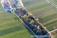 Vue aérienne de Vallée de Triefenbach à Edenkoben dans le département Rhénanie-Palatinat, Allemagne