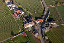 Vue aérienne de Manoir du manoir Meistersinger à Edenkoben dans le département Rhénanie-Palatinat, Allemagne