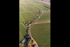 Vue aérienne de Vignobles en fleurs d'amandiers à le quartier SaintMartin in Sankt Martin dans le département Rhénanie-Palatinat, Allemagne