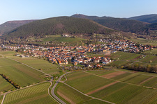 Vue aérienne de Village - vue à la lisière du Haardt de la forêt du Palatinat entre les vignes au printemps à le quartier SaintMartin in Sankt Martin dans le département Rhénanie-Palatinat, Allemagne