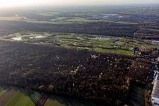 Vue aérienne de Domaine de campagne golf Dreihof - GOLF Absolute à le quartier Dreihof in Essingen dans le département Rhénanie-Palatinat, Allemagne
