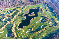 Vue aérienne de Arbres en fleurs au printemps sur le terrain de golf Landgut Dreihof - GOLF absolu à le quartier Dreihof in Essingen dans le département Rhénanie-Palatinat, Allemagne