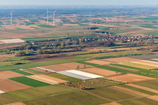 Vue aérienne de Verger Eier-Meyer à le quartier Mühlhofen in Billigheim-Ingenheim dans le département Rhénanie-Palatinat, Allemagne