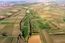 Vue aérienne de Brühlgraben à le quartier Mörzheim in Landau in der Pfalz dans le département Rhénanie-Palatinat, Allemagne