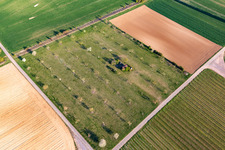 Vue aérienne de Prairie de vergers à le quartier Offenbach in Offenbach an der Queich dans le département Rhénanie-Palatinat, Allemagne