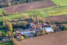 Vue aérienne de Pension pour chevaux au ranch Palatino à Steinweiler dans le département Rhénanie-Palatinat, Allemagne
